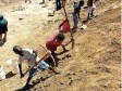Haiti - FLASH : More than 200,000 minor children work in the worst forms of work