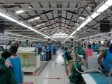 Haiti - Politic : Government Accompanying Measures to Assist Workers