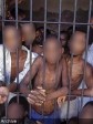Haiti - Justice : 219 detainees died of starvation or disease in Haitian prisons