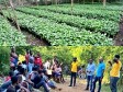 Haïti - Environnement : Jeunesse, agro-écologie et emplois verts