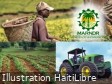 Haïti - Agriculture : Le secteur agricole face aux défis structurels et conjoncturels