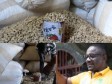 Haïti - Le Ministre de l’Agriculture renforce la production d’arachide à Durcis