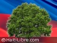 Haiti - Social : «Keep Haiti green and beautiful»