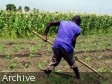 Haïti - Agriculture : 94 jeunes gradués en techniques agricoles