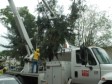 Haiti - Energy : 15 of 32 circuits of the EDH already operational