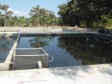 Haiti - Agriculture : The beekeeping and aquaculture receive government assistance