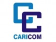 Haiti - Denationalisation : Statement of the CARICOM on the Dominican decision
